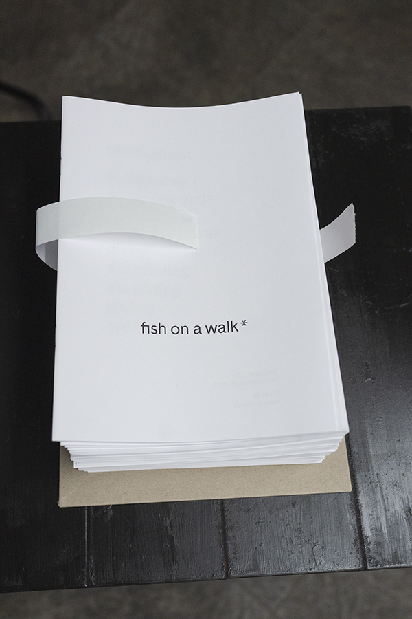 Buchpräsentation Oktober 2025, Foto: Martin Vesely, Ve.sch